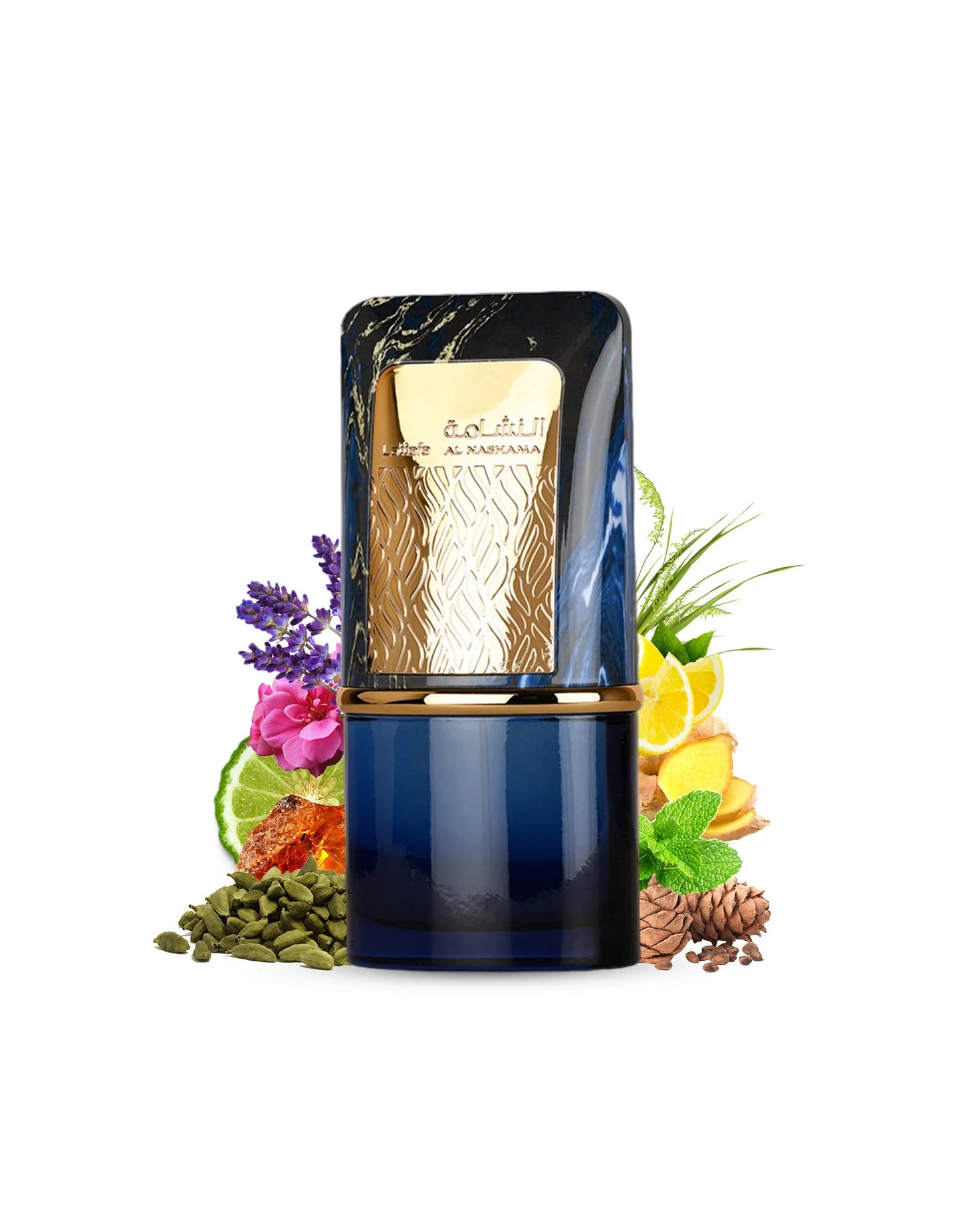 Lattafa Caprice Al Nashama EDP 3.4 oz Fragrances